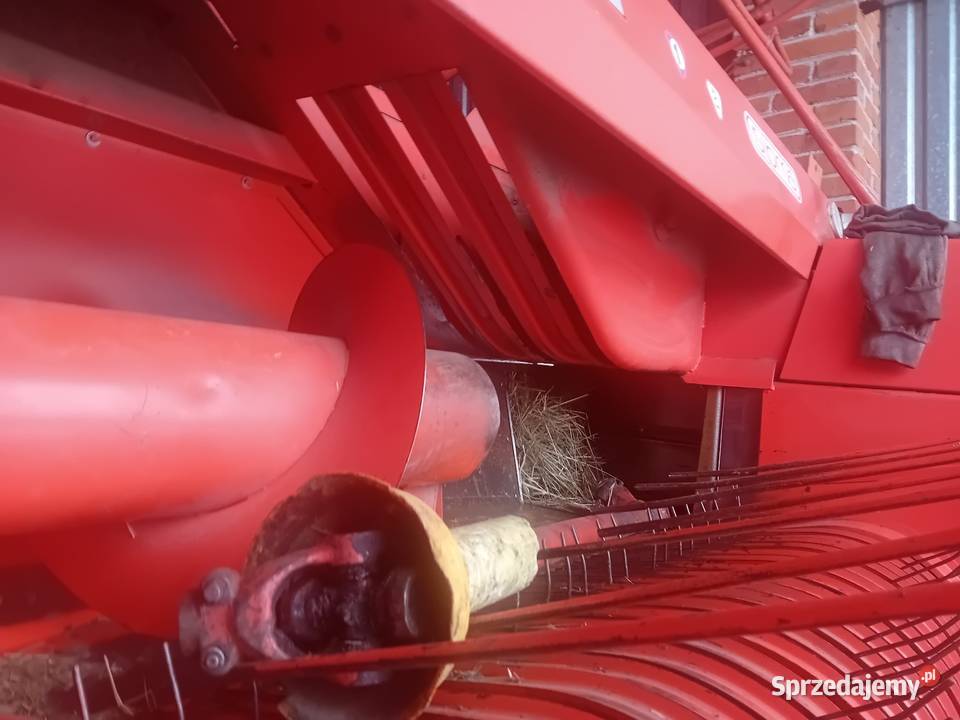 Sprzedam prase Sipme z2241 cała w orginale stan