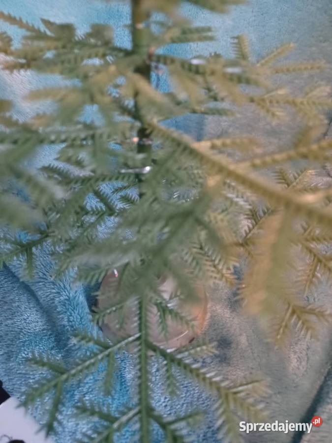 Choinka PRL miniaturka 28 Łódź