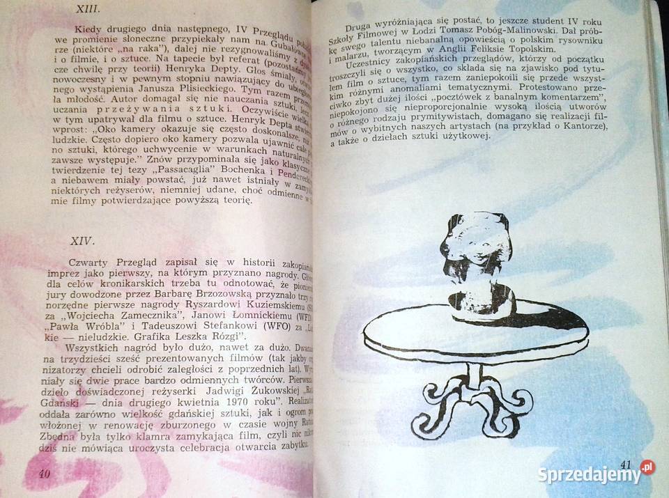 Przygody filmu ze sztuką Barbara Sęczkowska miękka Chełm