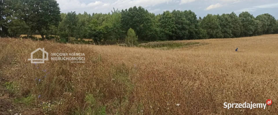 sprzedaży gruntu Skrzeszewo 1070m2 budowlana pomorskie