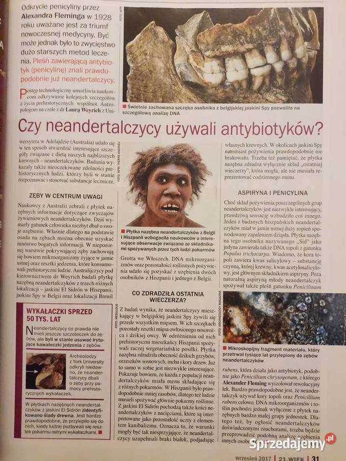 Magazyn 21 WIEK 92017 Pozostałe Wrocław