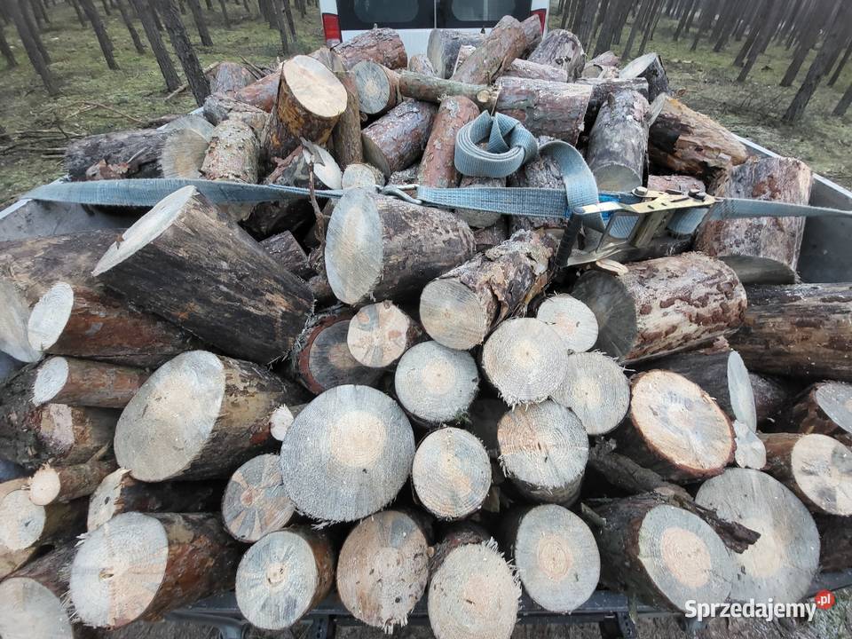 SUCHE drewno opalowe kominkowe sosna Zagórów