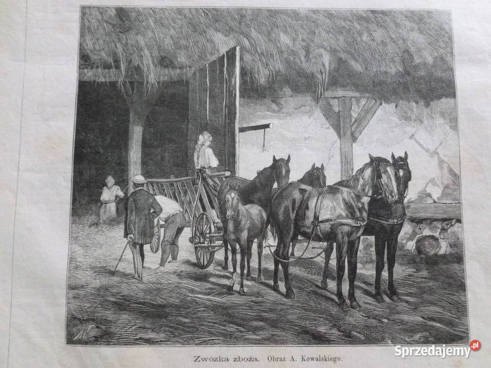 A Kowalski Drzeworyt sztorcowy Kłosy 1875 r mazowieckie