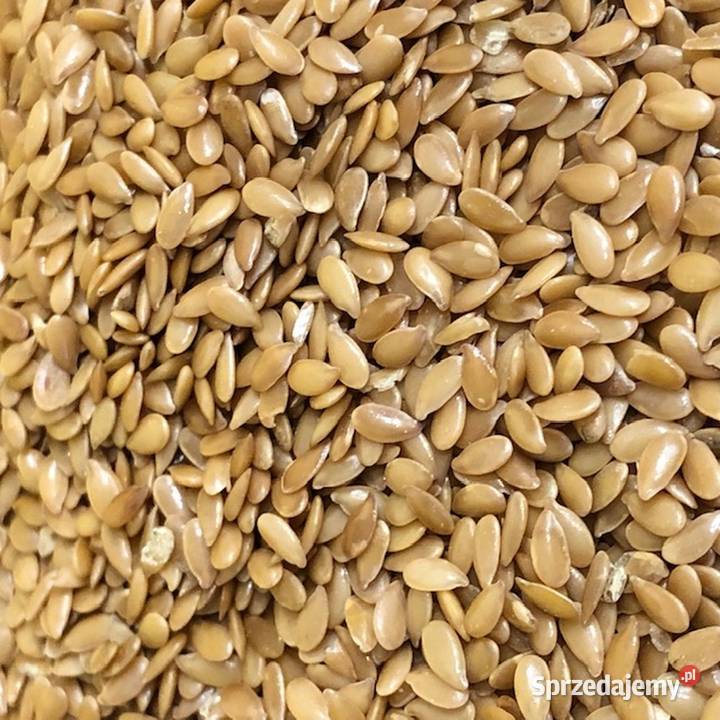 siemię lniane Lin Seed