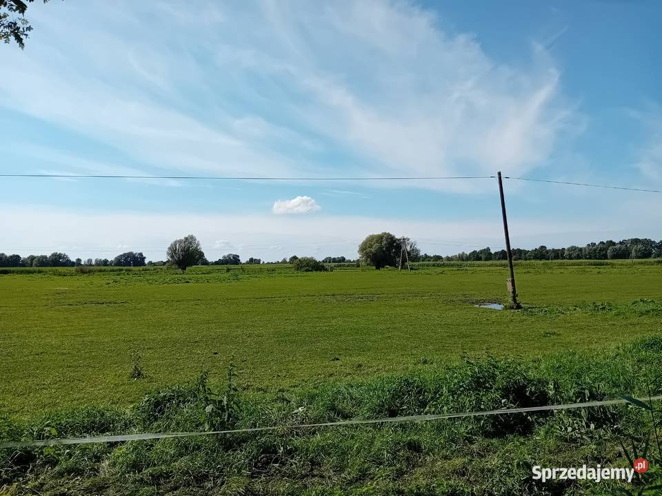 Syndyk sprzeda udziały w grunatach Żurawiec Jurandowo