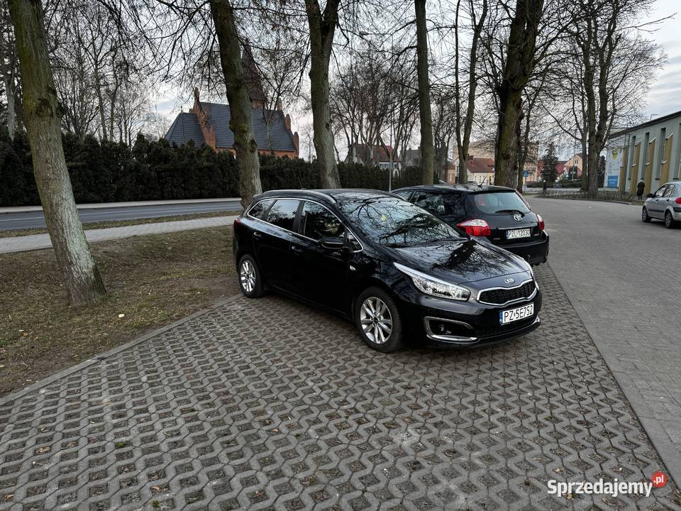 Kia Ceed 2016 16 Crdi 136 Lędyczek