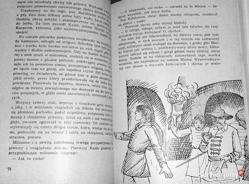 Szwedzi w Warszawie Walery Przyborowski Rok wydania 1967 lubelskie Chełm
