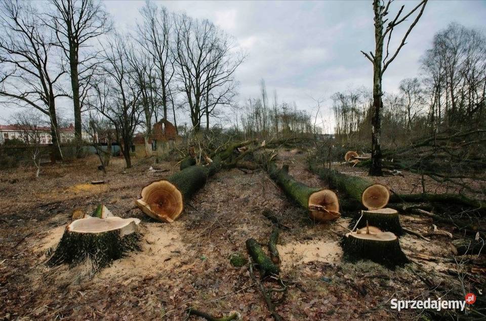 Koszenie nieużytków rowów działek inwestycyjnych Gorzów Wielkopolski
