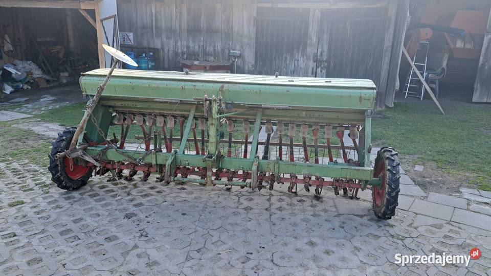 Siewnik hassia Gorzków-Wieś