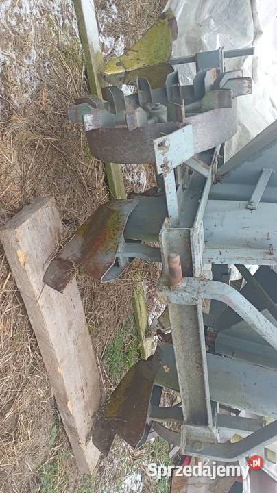 Sadzarka do ziemniaków i radełka Siewniki i sadzarki świętokrzyskie Szydłów