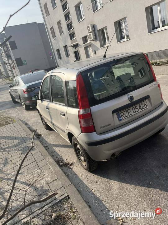 Panda 12 benzyna wspomaganie elektryczne Rok produkcji 2004 podkarpackie