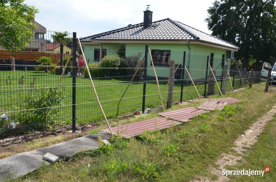 Płoty Panelowe 2D Najniższe ceny 656 certyfikat Bydgoszcz