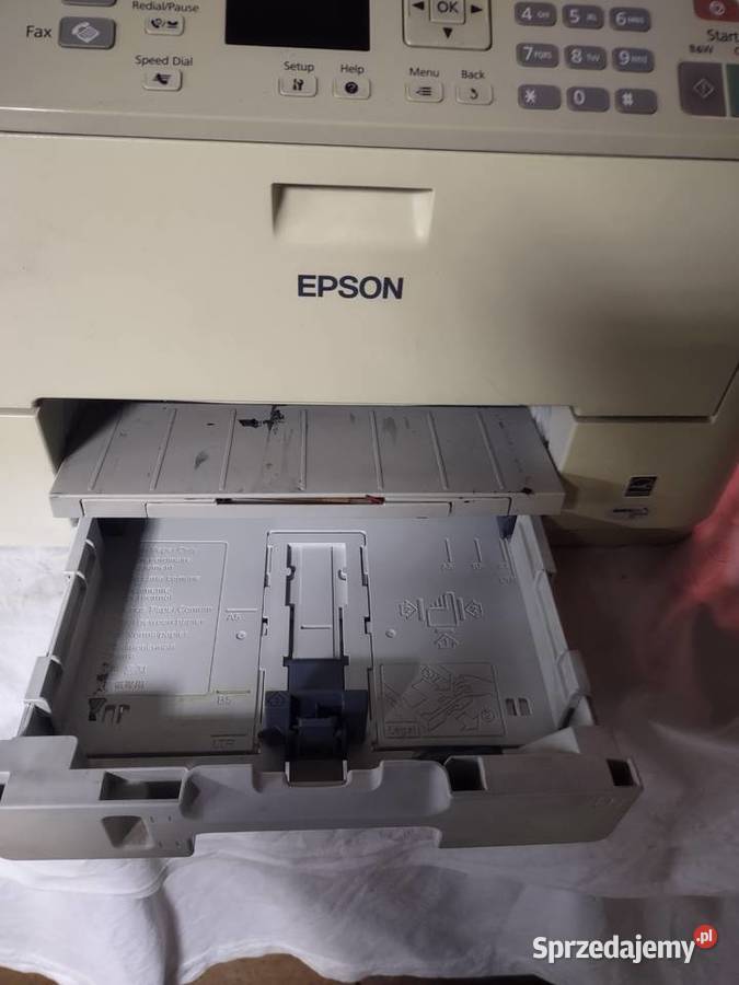 drukarka epson kujawsko-pomorskie Koronowo