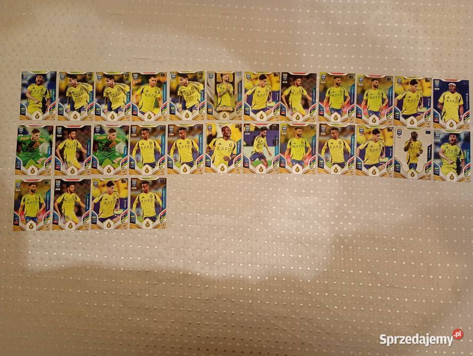 Karty piłkarskie kolekcjonerskie Panini FIFA 365 sprzedam