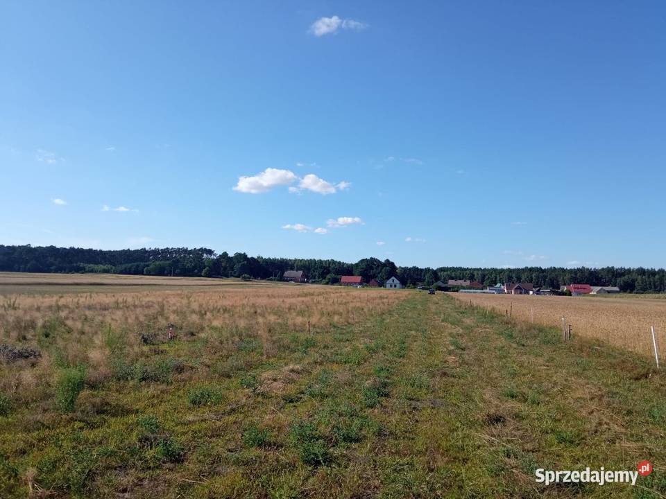 Sprzedam Działkę Budowlaną Pod Lasem kujawsko-pomorskie Grzeczna Panna