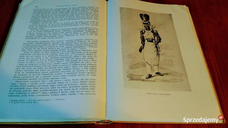 Pamiętniki krakowskiej rodziny Louisów 18311869 pomorskie Gdańsk