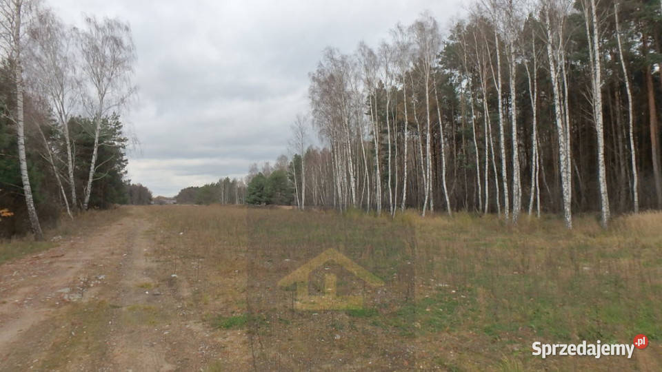 Działka budowlana w gminie Wiazowna