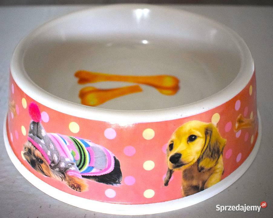 Dwie kolorowe miski pieska Chełmno