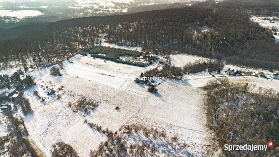 Grunt 22110m2 Płaza Podlas małopolskie