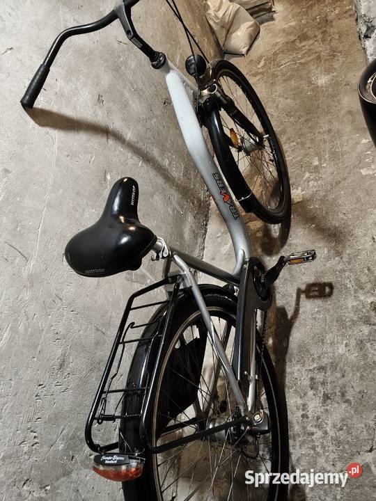 Damka Miejskie małopolskie Kraków