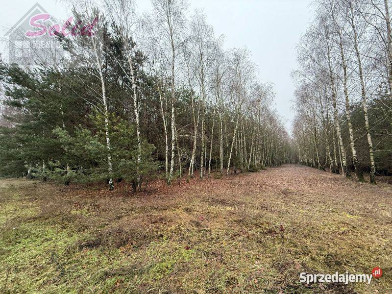 działka z warunkami zabudowy w spokojnej woda Stawek