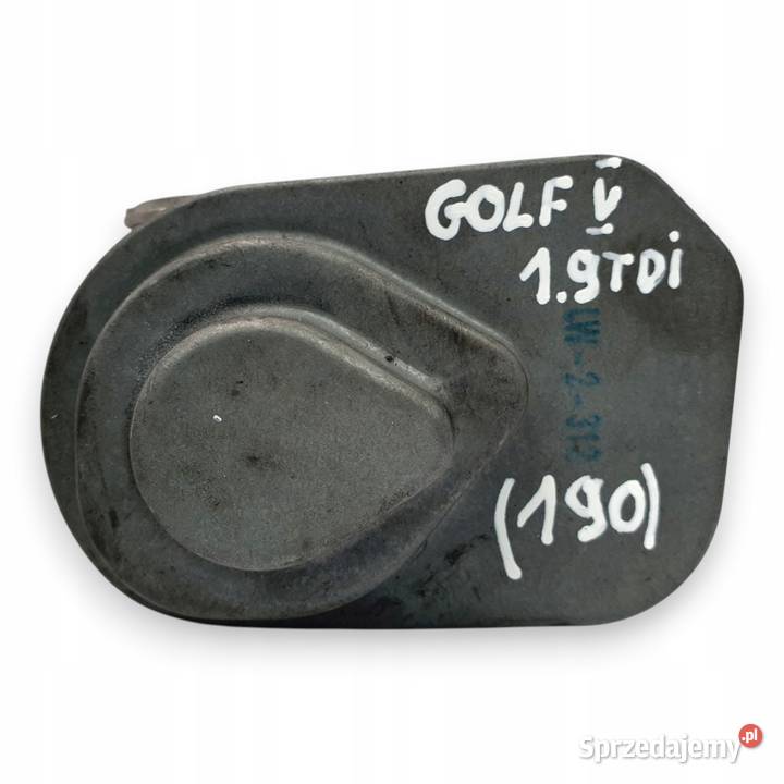 PRZEPUSTNICA VW Golf V 19 TDI B5107V100 1438