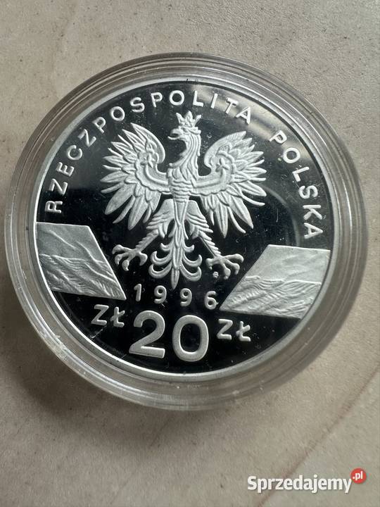 Moneta kolekcjonerska jeż Jawiszowice