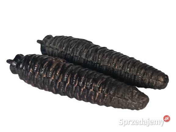 Szyszki ciężarki zegarowe 2 podkarpackie Rzeszów