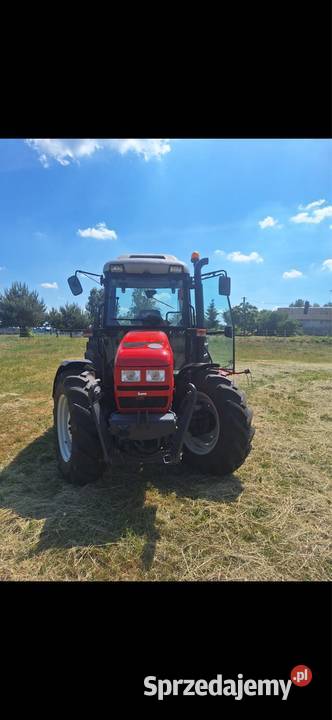 Same dorado 86 Radziejów