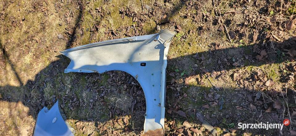 Błotnik Lewy Prawy Hyundai Coupe 2 Lakier LS Żabno