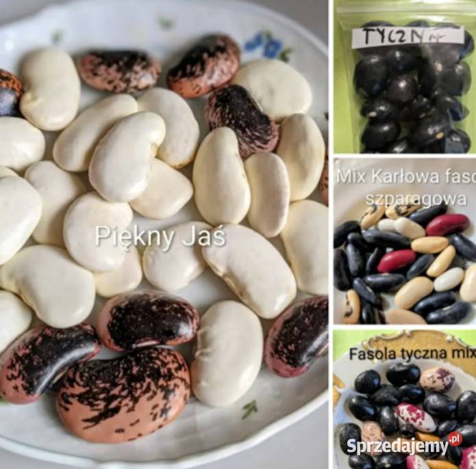 Fasola szparagowa karłowa mix małopolskie Kraków