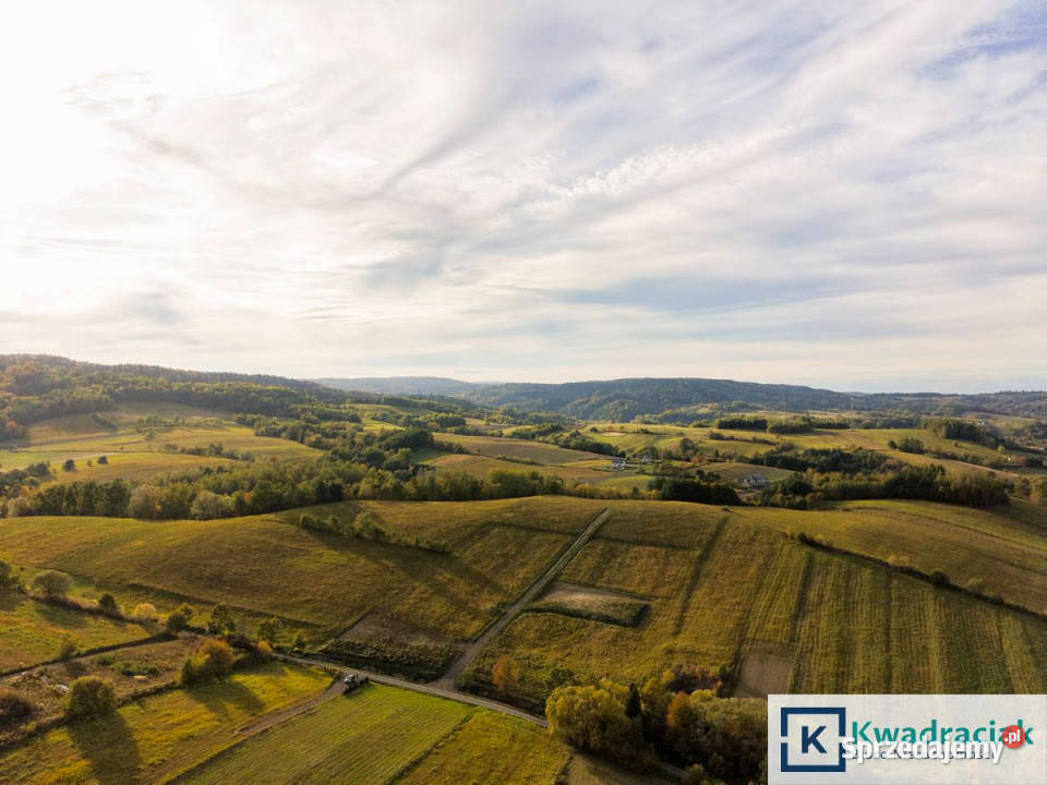 sprzedaży działki Średnia Wieś 1580m2