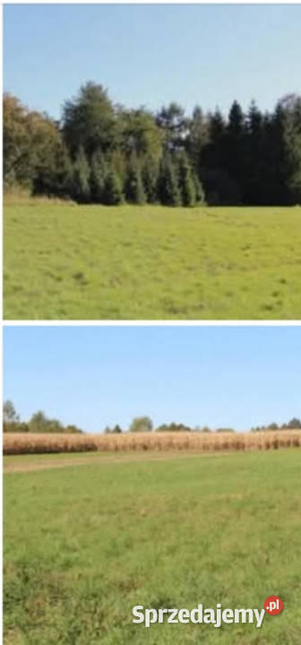 Działka budowlana Jerzmanowice Centralna 63 ary małopolskie