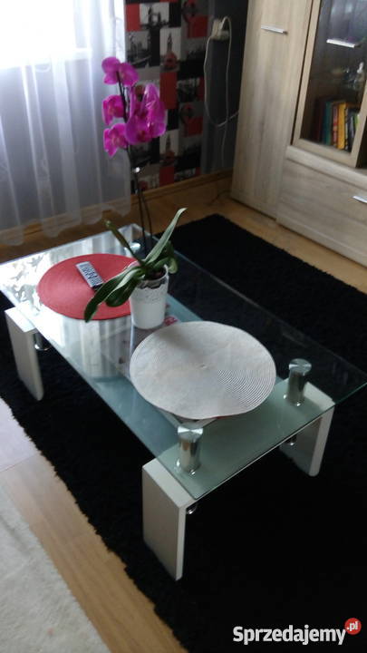 Dywan Shaggy 220160 Kalisz