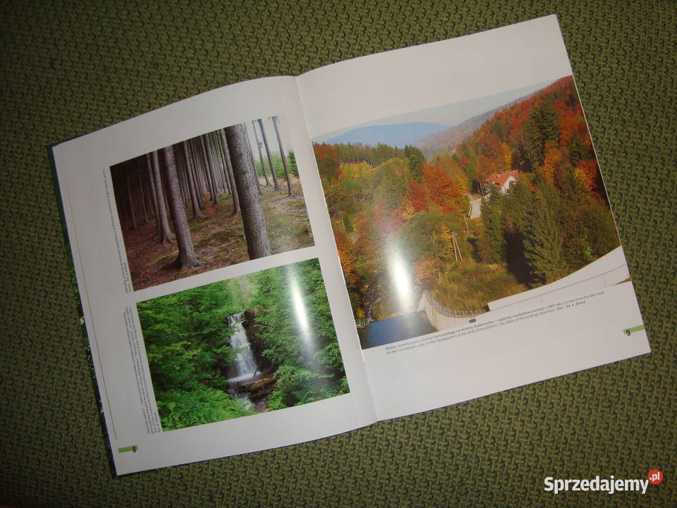 Album Nadleśnictwo Wisła z fotoopisem Tychy