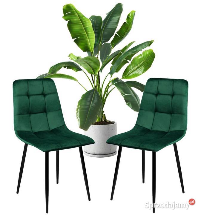 Zestaw 2 krzesło tapicerowane welurowe do salonu wielkopolskie Poznań