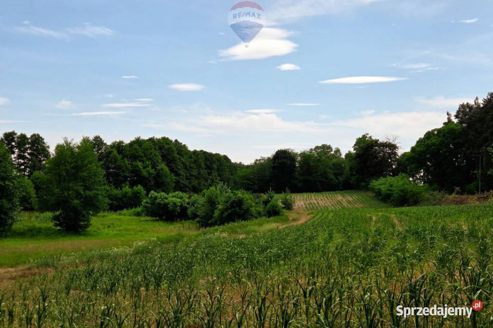 Działka jeziorze Pniew wielkopolskie Buszewo