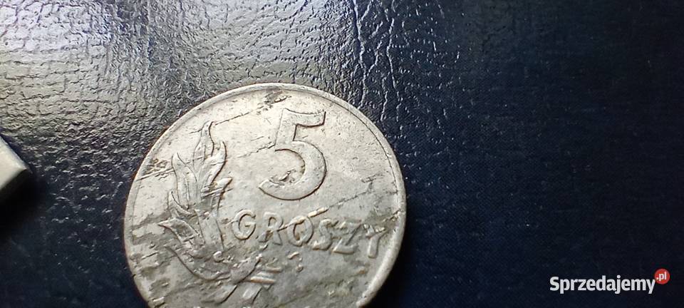 Stare monety 5 groszy 1949 PRL Polska destrukt Numizmatyka Lesko
