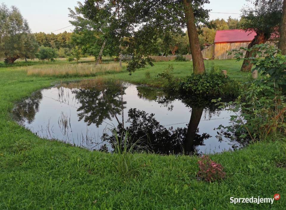 Sprzedam działkę budowlaną z warunkami zabudowy Gostynin sprzedam