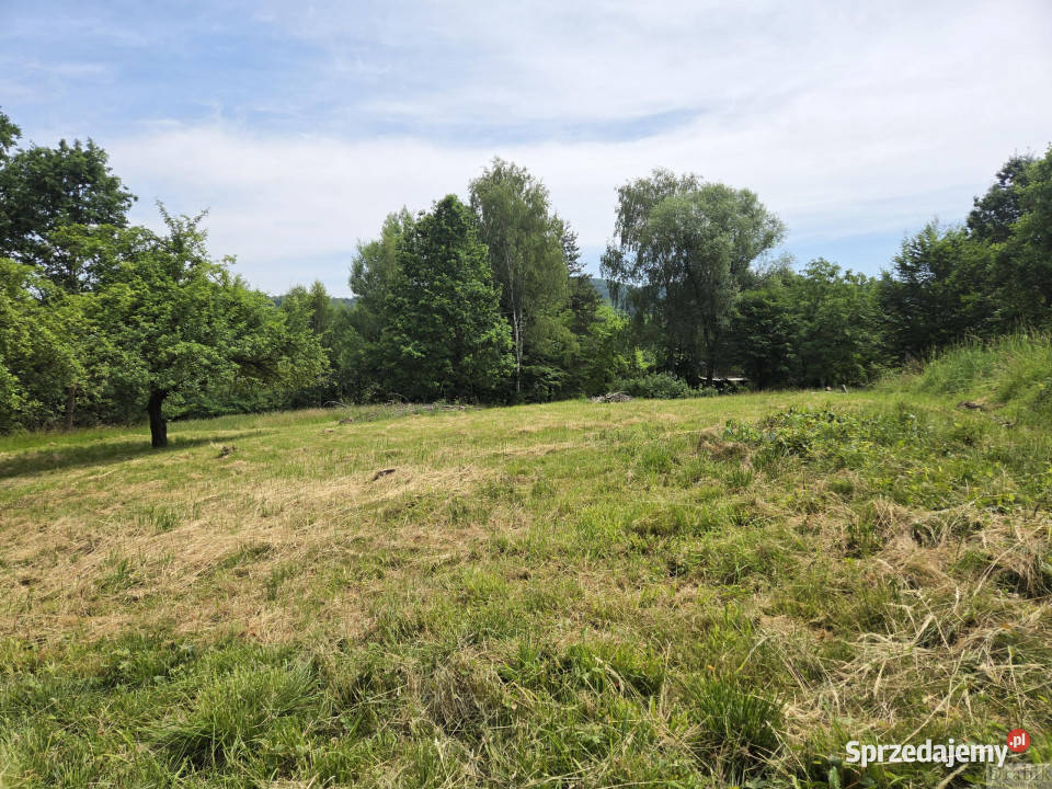 sprzedaży gruntu Skawce Skawce 1720m2 asfalt