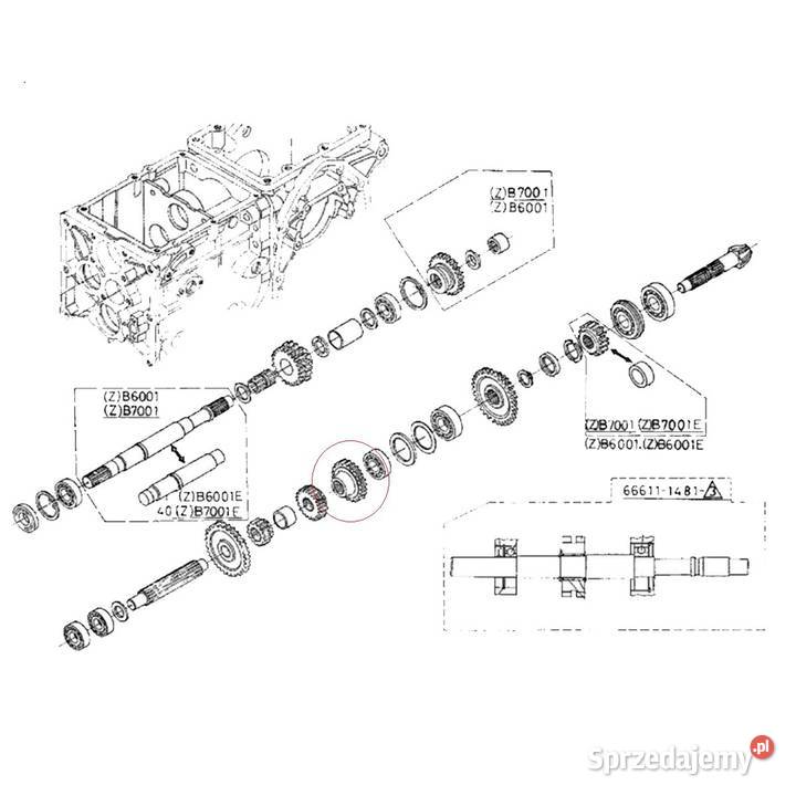 Zębatka 16T19T Kubota B6001 B6100 B7001 Tajęcina