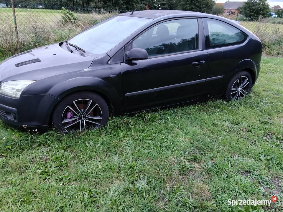 Sprzedam Forda Focusa Śrem sprzedam