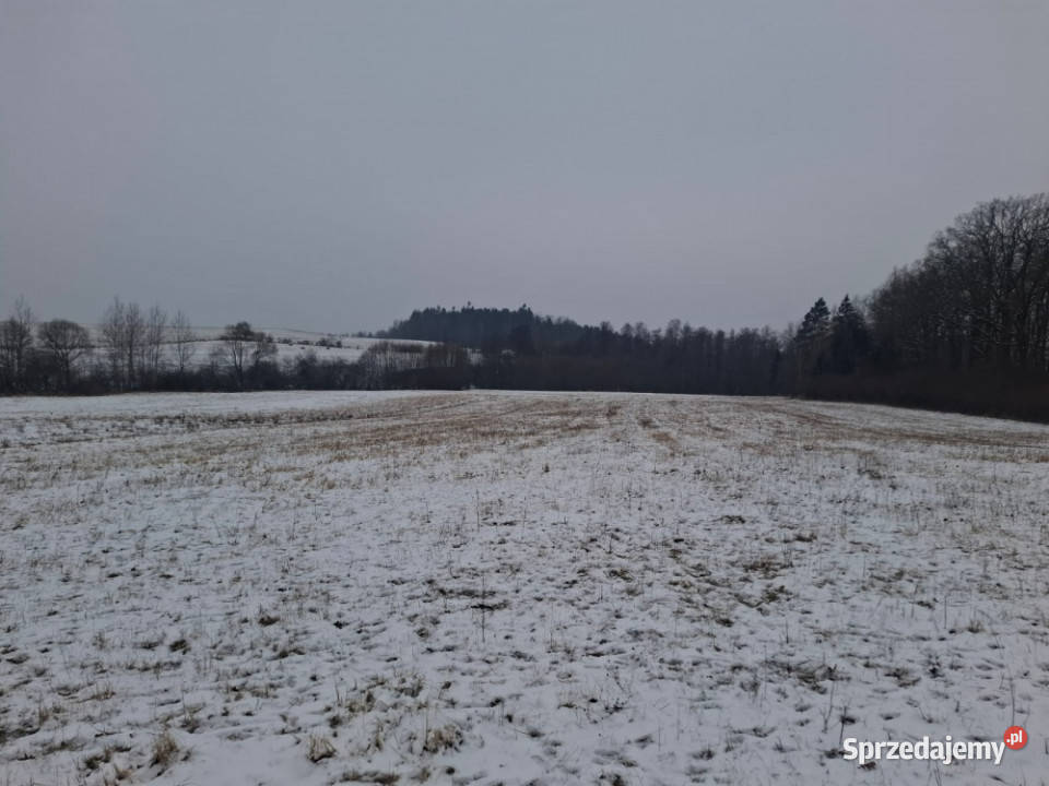 Piękne działki 30 arów w gorach Gorzanów sprzedam
