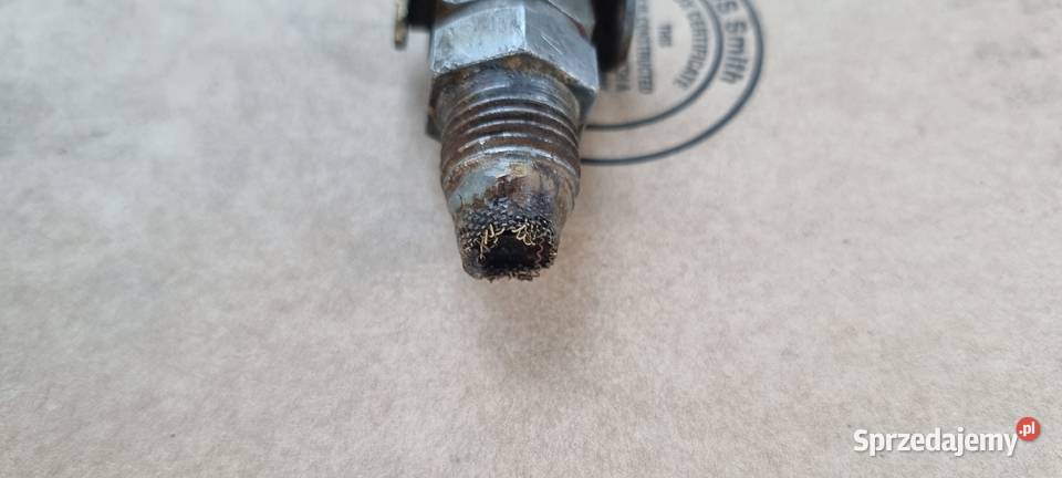 Kranik junak kujawsko-pomorskie Bydgoszcz sprzedam