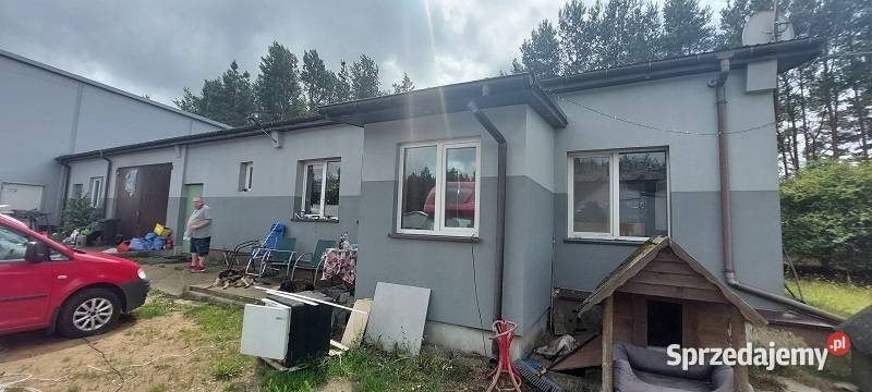 Syndyk sprzeda Amelin