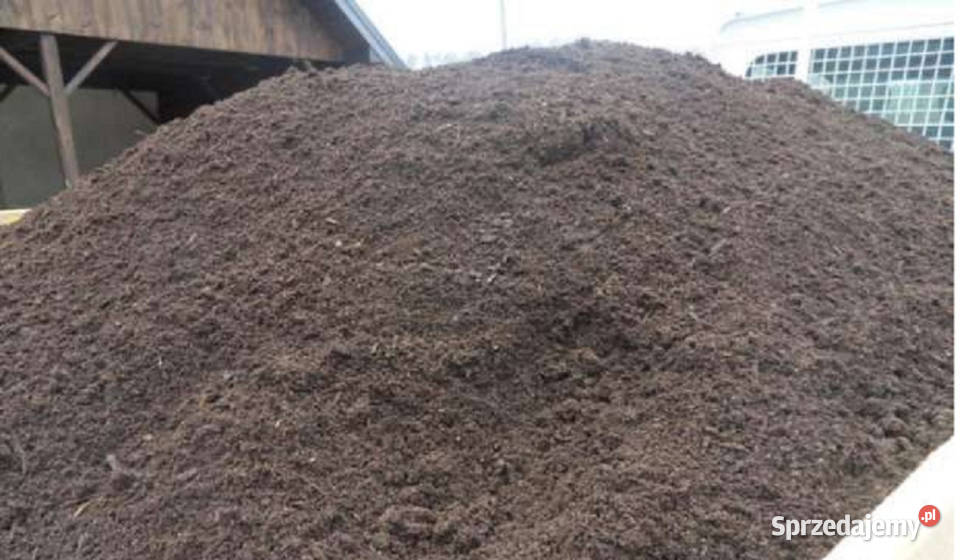 Ziemia Ogrodowa Trawnik Czarnoziem Warzywa Grybów