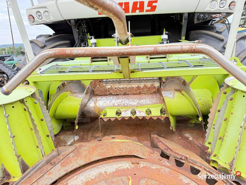 Przystawka bezrzędowa CLAAS RU 450 XTRA 2010 Do sieczkarni Kudowa-Zdrój
