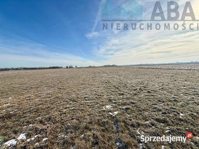 Duża działka w Słodkowie na sprzedaż Słodków sprzedam