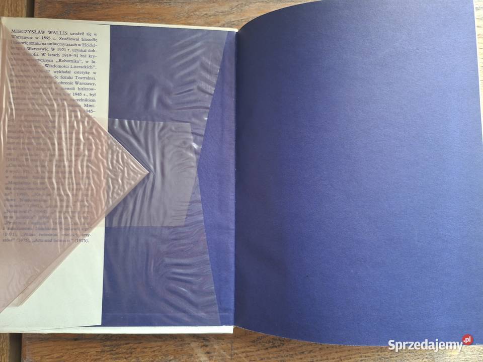 Secesja Mieczysław Wallis Arkady małopolskie Kraków