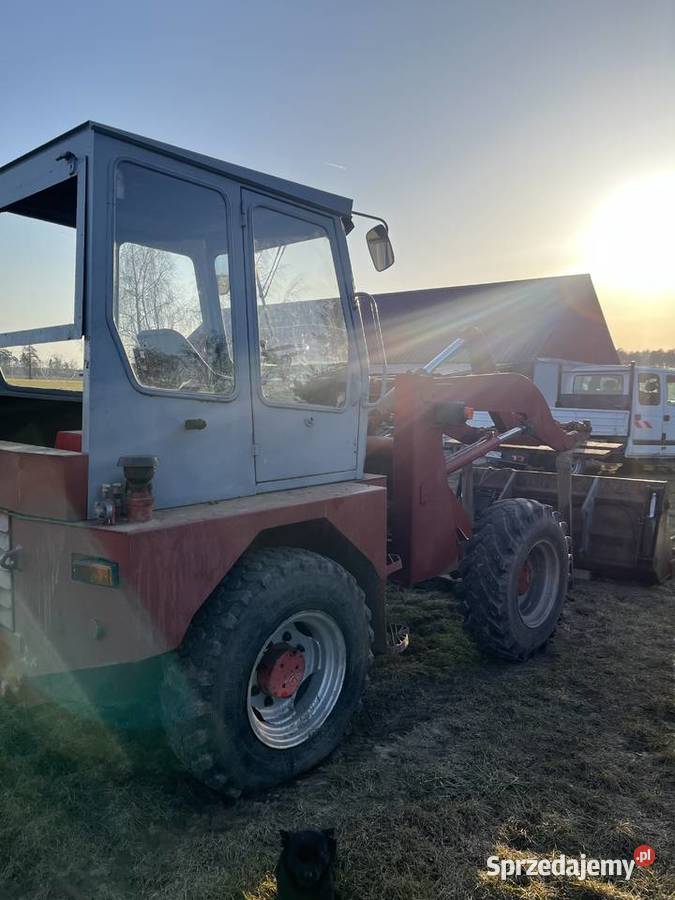 Gehlemax 608 Witkowo